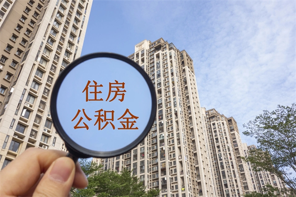 广州在职的公积金怎么取出（广州在职的公积金怎么取出来）